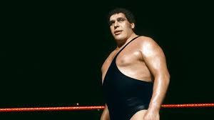 A Guide On How Much Did Andre The Giant Weigh - WWF Belt