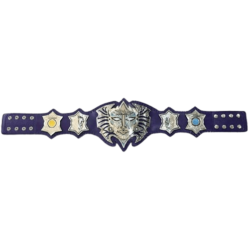 Jeff Hardy Enigmatic MMA Undisputed Championship Belt Championship Belt WWF Belt