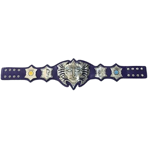Jeff Hardy Enigmatic MMA Undisputed Championship Belt Championship Belt WWF Belt