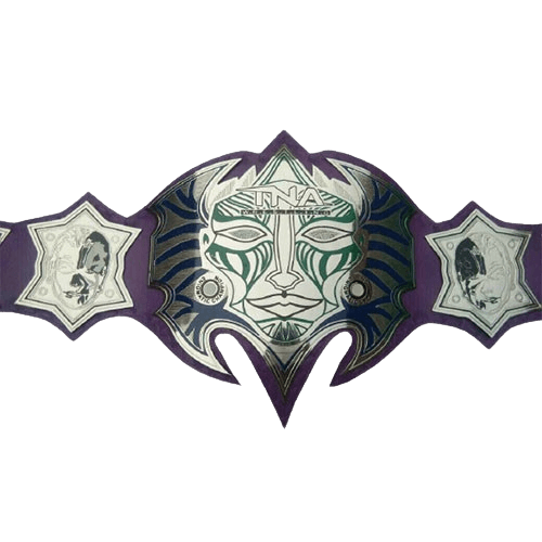 Jeff Hardy Enigmatic MMA Undisputed Championship Belt Championship Belt WWF Belt