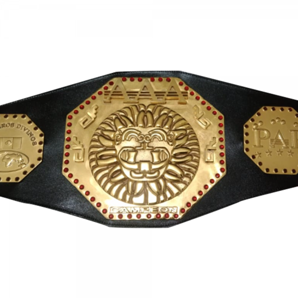 Aaa replica belts hotsell