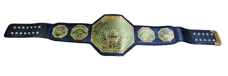 AAA Mega Campeon Mexico Wrestling Championship Title Replica Belt 2MM Brass