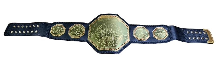 AAA Mega Campeon Mexico Wrestling Championship Replica Title Championship Belt WWF Belt