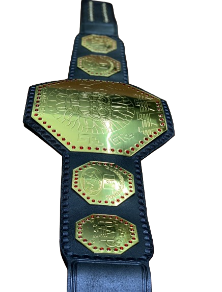 AAA Mega Campeon Mexico Wrestling Championship Title Replica Belt 2MM Brass