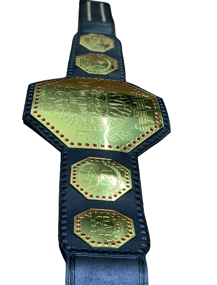 AAA Mega Campeon Mexico Wrestling Championship Replica Title Championship Belt WWF Belt