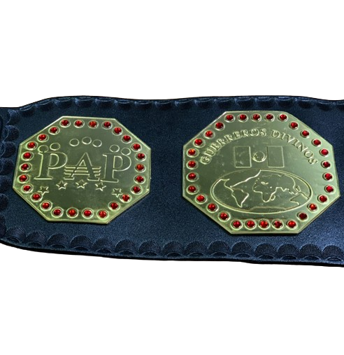 AAA Mega Campeon Mexico Wrestling Championship Title Replica Belt 2MM Brass