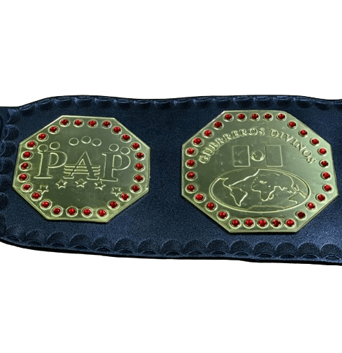 AAA Mega Campeon Mexico Wrestling Championship Replica Title Championship Belt WWF Belt