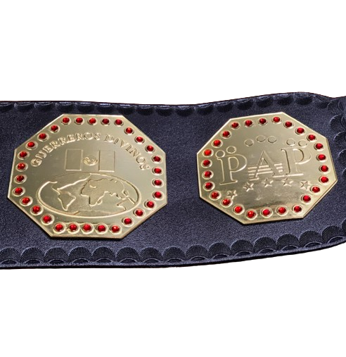 AAA Mega Campeon Mexico Wrestling Championship Title Replica Belt 2MM Brass