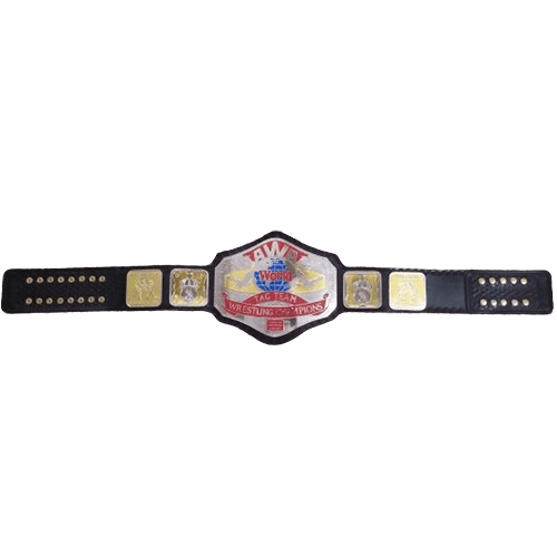 AWA World Tag Team Replica Title Replica Belt Championship Belt WWF Belt