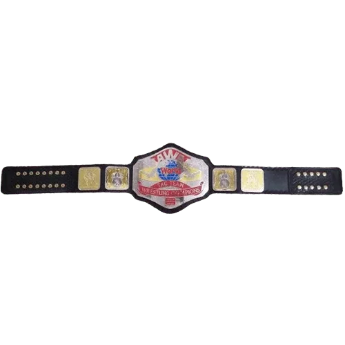 AWA World Tag Team Replica Title Replica Belt Championship Belt WWF Belt
