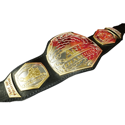 MMA Art of Champion Fighting Championship Belt Championship Belt WWF Belt