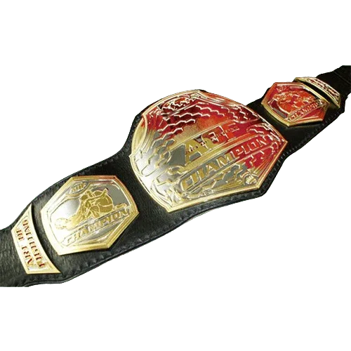 MMA Art of Champion Fighting Championship Belt Championship Belt WWF Belt
