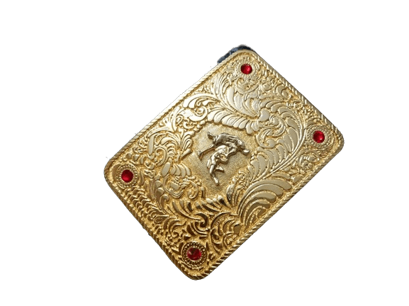 Big Gold Championship Belt Championship Belt WWF Belt