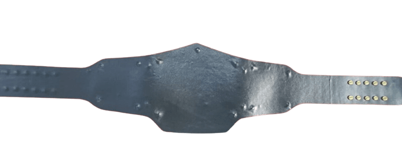 WWE Bray Wyatt Universal Fiend Championship Title Belt Championship Belt WWF Belt