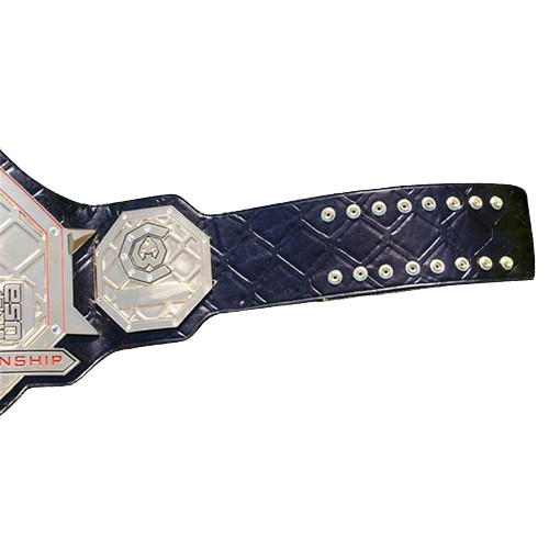 Cage Warriors Fighting USA Championship belt