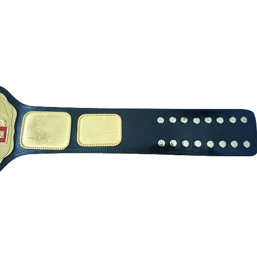 Campeon LUCHA LIBRE Mexico National Champion Belt Championship Belt WWF Belt