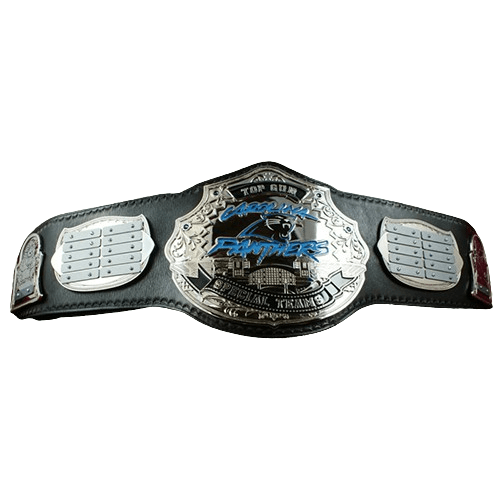 Carolina Panthers Top Gun Championship Belt Championship Belt WWF Belt