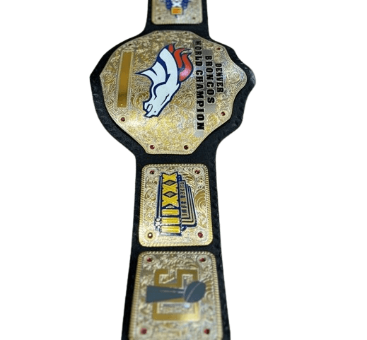 DENVER BRONCOS NFL Championship Wrestling Belt Championship Belt WWF Belt