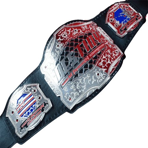 Destiny MMA Championship Belt Championship Belt WWF Belt