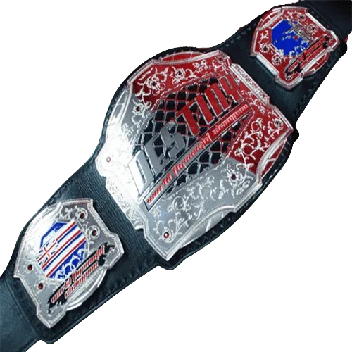 Destiny MMA Championship Belt Championship Belt WWF Belt