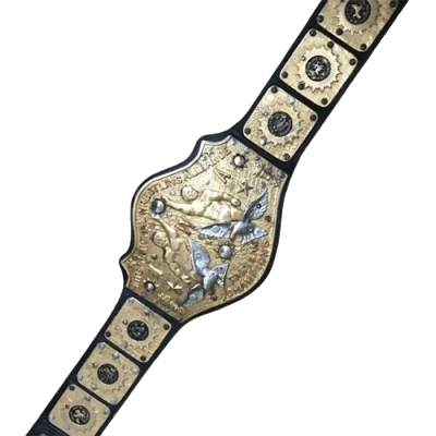 IWA International Wrestling Tag Team Championship Title Belt Championship Belt WWF Belt