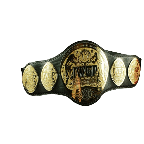 IWGP Heavyweight Tag Team Champions Belt Championship Belt WWF Belt