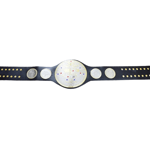 IWGP Tag Team Championship Belt Championship Belt WWF Belt
