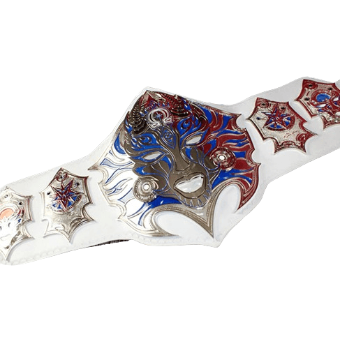 Jeff Hardy’s Legacy Enigmatic Championship Belt Championship Belt WWF Belt