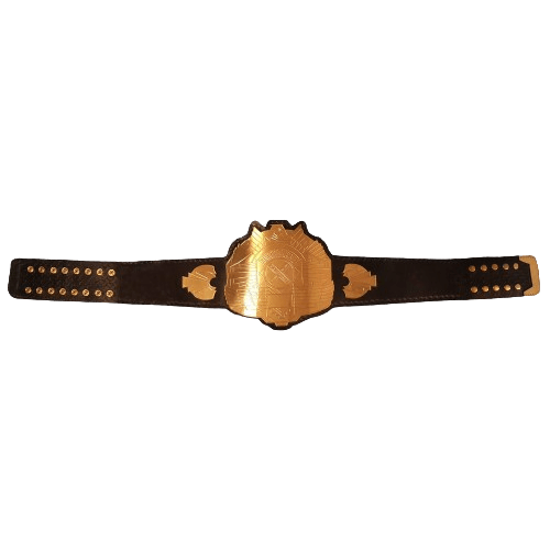 King of Pancras Championship Replica Title Belt Championship Belt WWF Belt