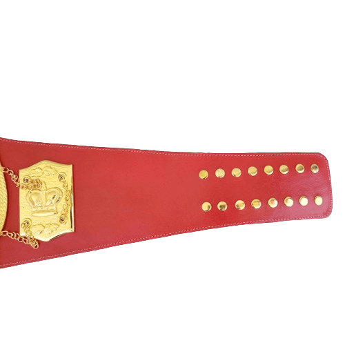 N.A.B.F 1973 Heavyweight Boxing Championship Title Belt Championship Belt WWF Belt