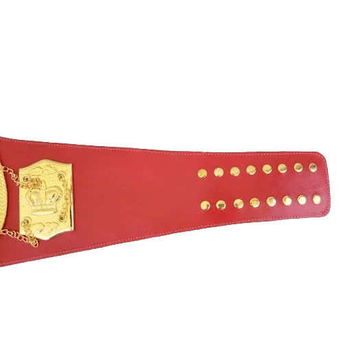 N.A.B.F 1973 Heavyweight Boxing Championship Title Belt Championship Belt WWF Belt