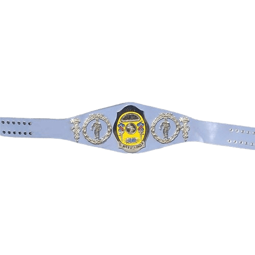 NWA World Tag Team Wrestling Championship Title Belt Championship Belt WWF Belt