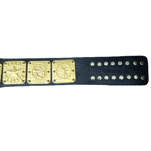 NWA Canadian Pacific Coast Classy Champion Replica Title Belt Championship Belt WWF Belt