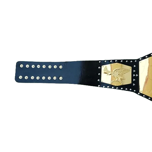 NWA Detroit United States Heavyweight Championship belt Championship Belt WWF Belt