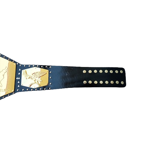 NWA Detroit United States Heavyweight Championship belt Dick The Bruiser Verne G