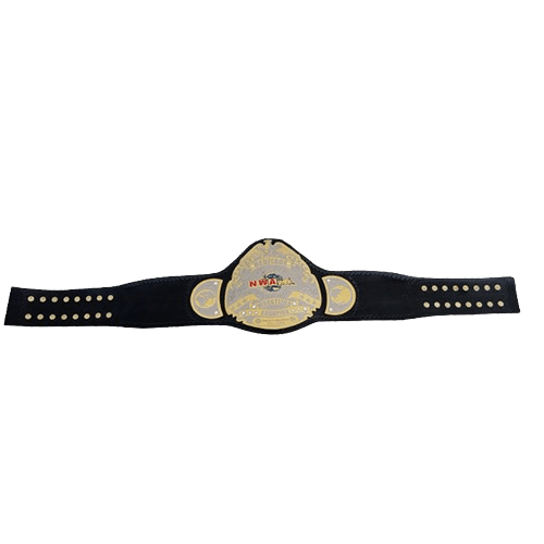 NWA Heritage title Wrestling Champion Belt Sean Waltman X-Pac TJP Championship Belt WWF Belt