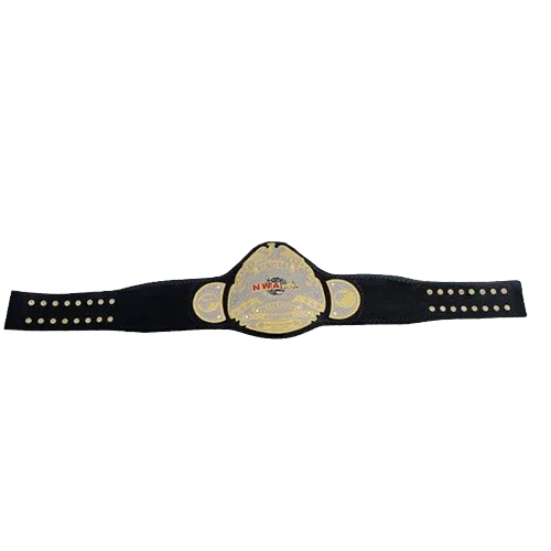 NWA Heritage title Wrestling Champion Belt Sean Waltman X-Pac TJP Championship Belt WWF Belt