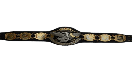 NWA International Wrestling Tag Team Championship Belt Championship Belt WWF Belt