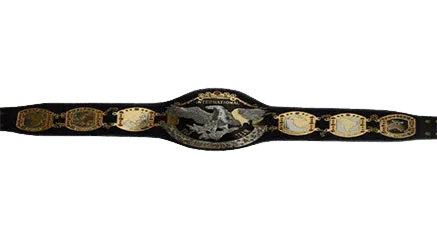 NWA International Wrestling Tag Team Championship Belt Championship Belt WWF Belt