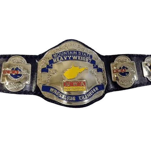 NWA Mountain State Heavyweight Championship Belt Scotty McKeever Championship Belt WWF Belt