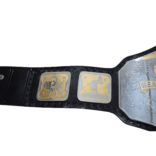 NWA National Heavyweight Championship Title Belt Championship Belt WWF Belt