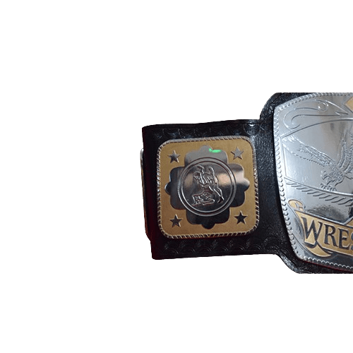 NWA National Tag Team Championship Title Replica Belt Championship Belt WWF Belt