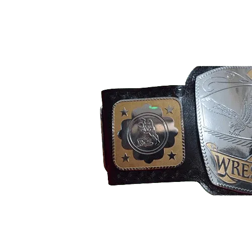 NWA National Tag Team Championship Title Replica Belt Championship Belt WWF Belt