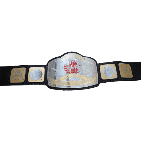 NWA National Tag Team Championship Title Replica Belt Championship Belt WWF Belt