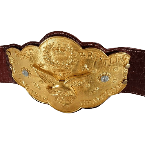 NWA National Wrestling Alliance World Women’s Tag Team Championship Belt Championship Belt WWF Belt