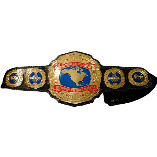 NWA North American Heavyweight Wrestling Champion Belt Kevin Von Erich Championship Belt WWF Belt