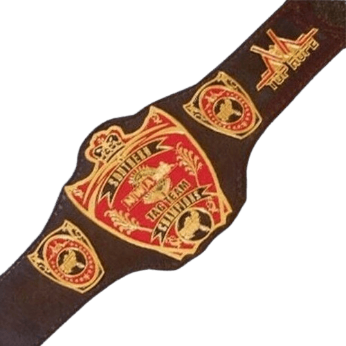 NWA Southern Tag Team Champion Belt Old Championship USA Top Championship Belt WWF Belt