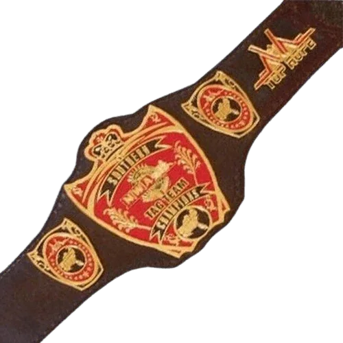 NWA Southern Tag Team Champion Belt Old Championship USA Top Championship Belt WWF Belt