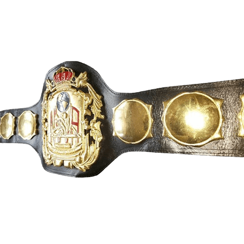 NWA Wrestling Champion Belt Gene Kiniski Dory Funk Jr. Old World Championship Belt WWF Belt