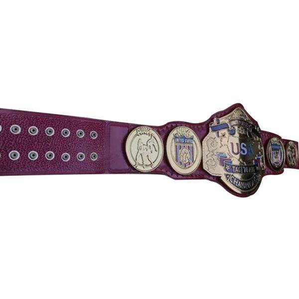 NWA USA Tag Team Wrestling Championship Belt Championship Belt WWF Belt